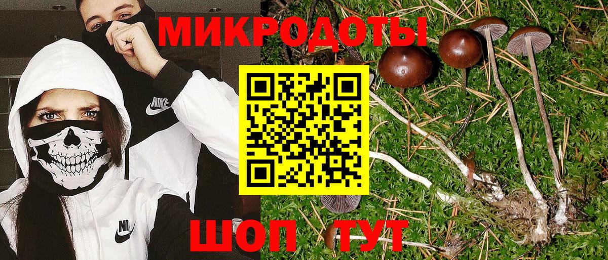 Галлюциногенные грибы мицелий  Вход с VPN  Назрань  Галлюциногенные грибы Cubensis 